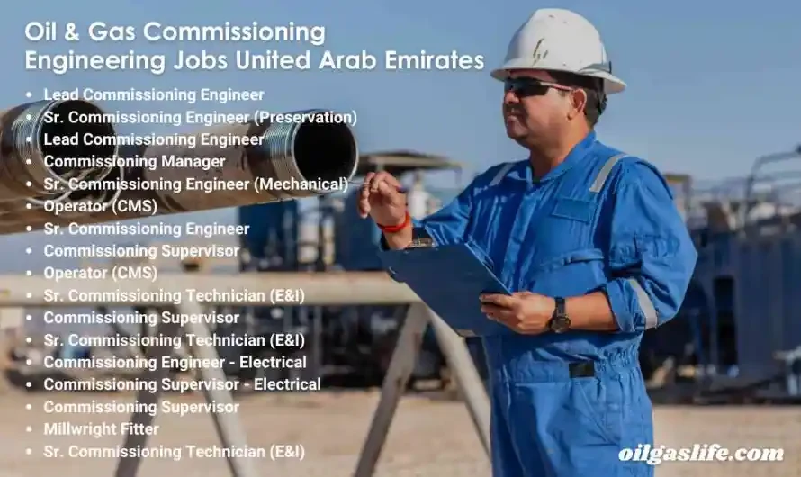 Process Engineer LNG