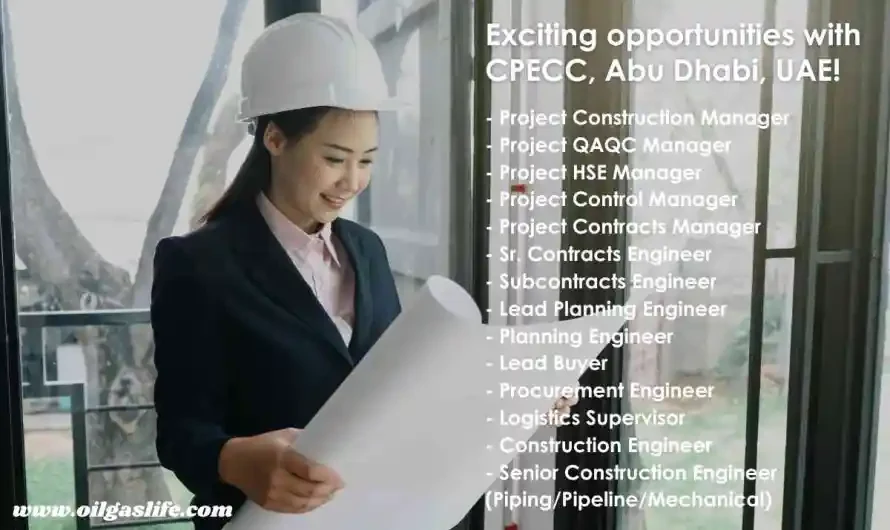 Senior Process Engineer Job